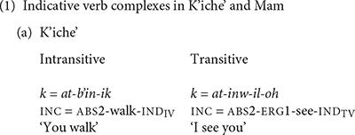 The Acquisition of Directionals in Two Mayan Languages